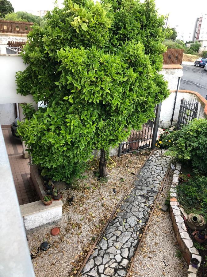 B&B San Liborio Чивитавекия Екстериор снимка